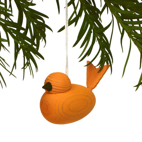 Bird hanging orange